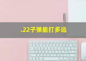 .22子弹能打多远