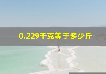 0.229千克等于多少斤