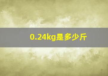 0.24kg是多少斤