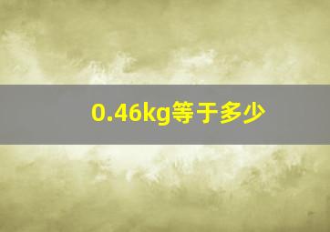 0.46kg等于多少