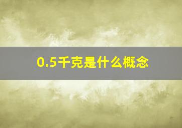 0.5千克是什么概念