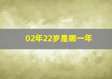 02年22岁是哪一年