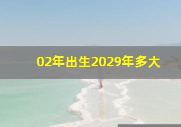 02年出生2029年多大