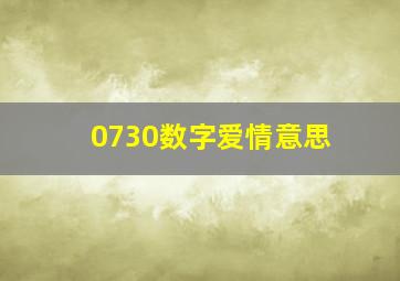 0730数字爱情意思