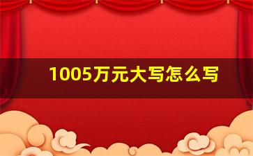 1005万元大写怎么写