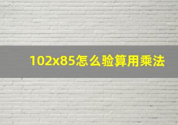 102x85怎么验算用乘法