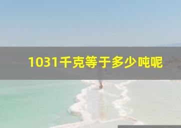 1031千克等于多少吨呢