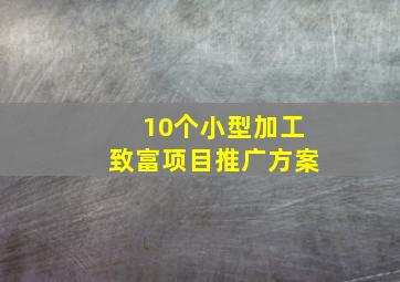 10个小型加工致富项目推广方案