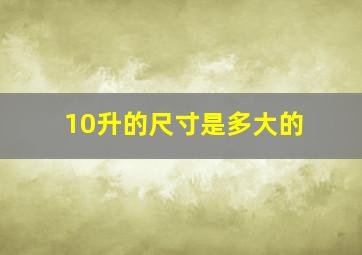 10升的尺寸是多大的