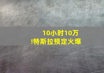 10小时10万!特斯拉预定火爆