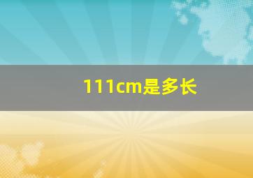 111cm是多长