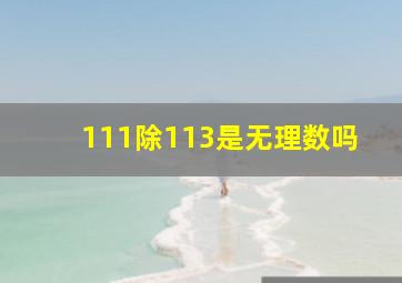 111除113是无理数吗