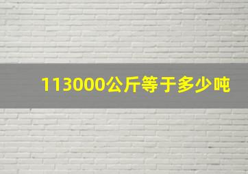 113000公斤等于多少吨