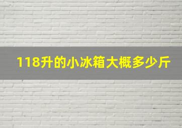 118升的小冰箱大概多少斤