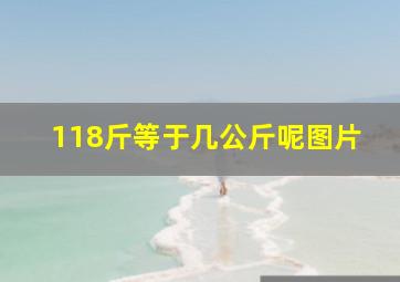 118斤等于几公斤呢图片