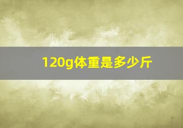 120g体重是多少斤