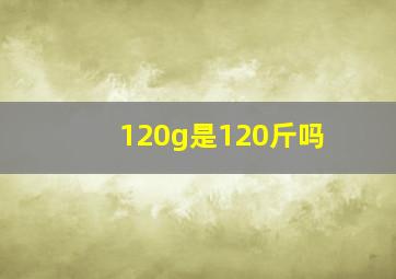 120g是120斤吗