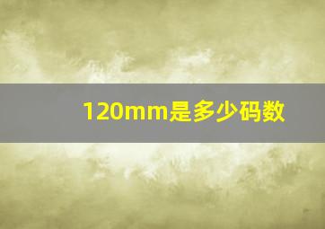 120mm是多少码数