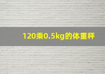 120乘0.5kg的体重秤