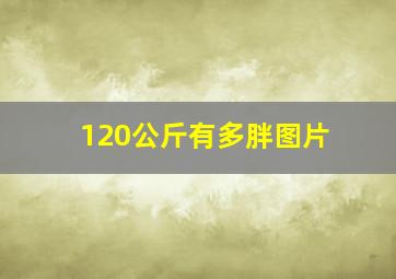 120公斤有多胖图片