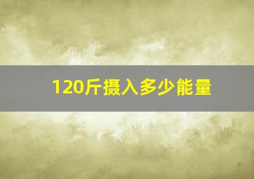 120斤摄入多少能量