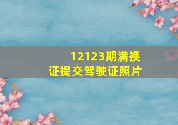 12123期满换证提交驾驶证照片