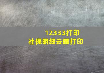 12333打印社保明细去哪打印