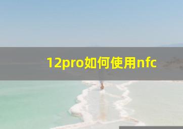 12pro如何使用nfc