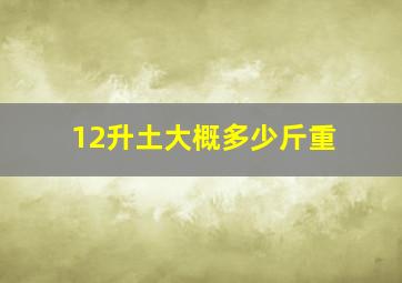 12升土大概多少斤重