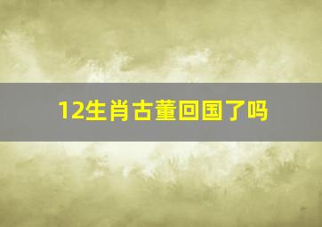 12生肖古董回国了吗