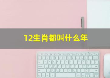 12生肖都叫什么年