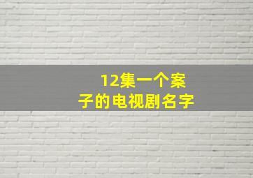 12集一个案子的电视剧名字