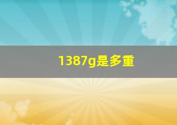 1387g是多重