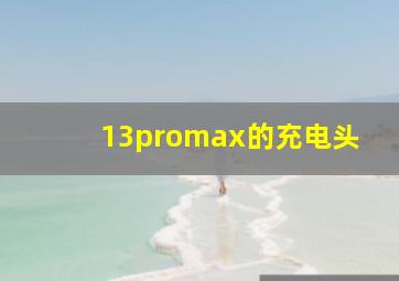 13promax的充电头