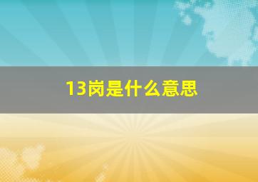 13岗是什么意思