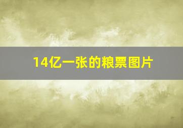 14亿一张的粮票图片