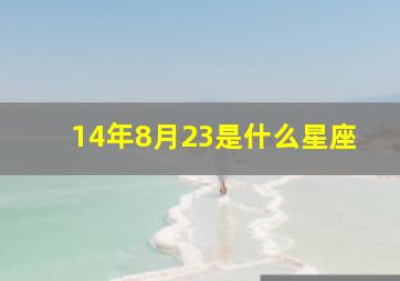 14年8月23是什么星座