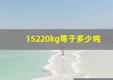 15220kg等于多少吨