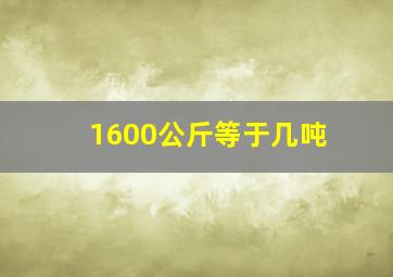 1600公斤等于几吨