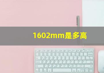 1602mm是多高