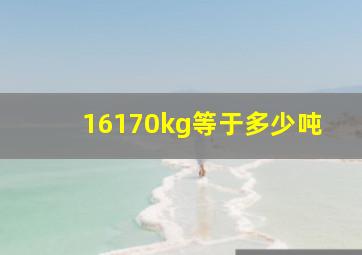 16170kg等于多少吨