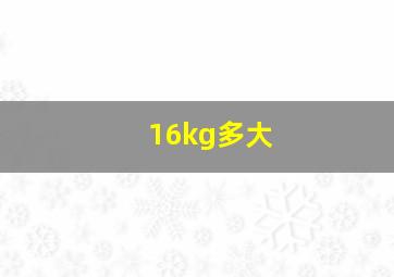 16kg多大