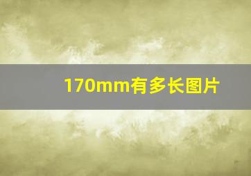 170mm有多长图片