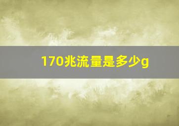 170兆流量是多少g