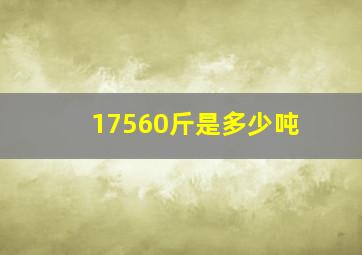 17560斤是多少吨