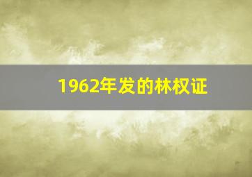 1962年发的林权证