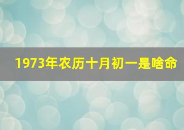 1973年农历十月初一是啥命