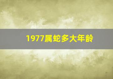 1977属蛇多大年龄