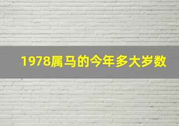 1978属马的今年多大岁数