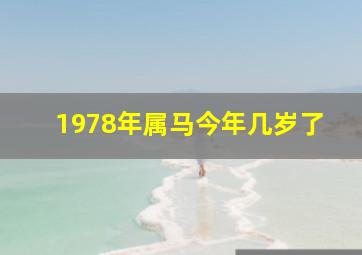 1978年属马今年几岁了